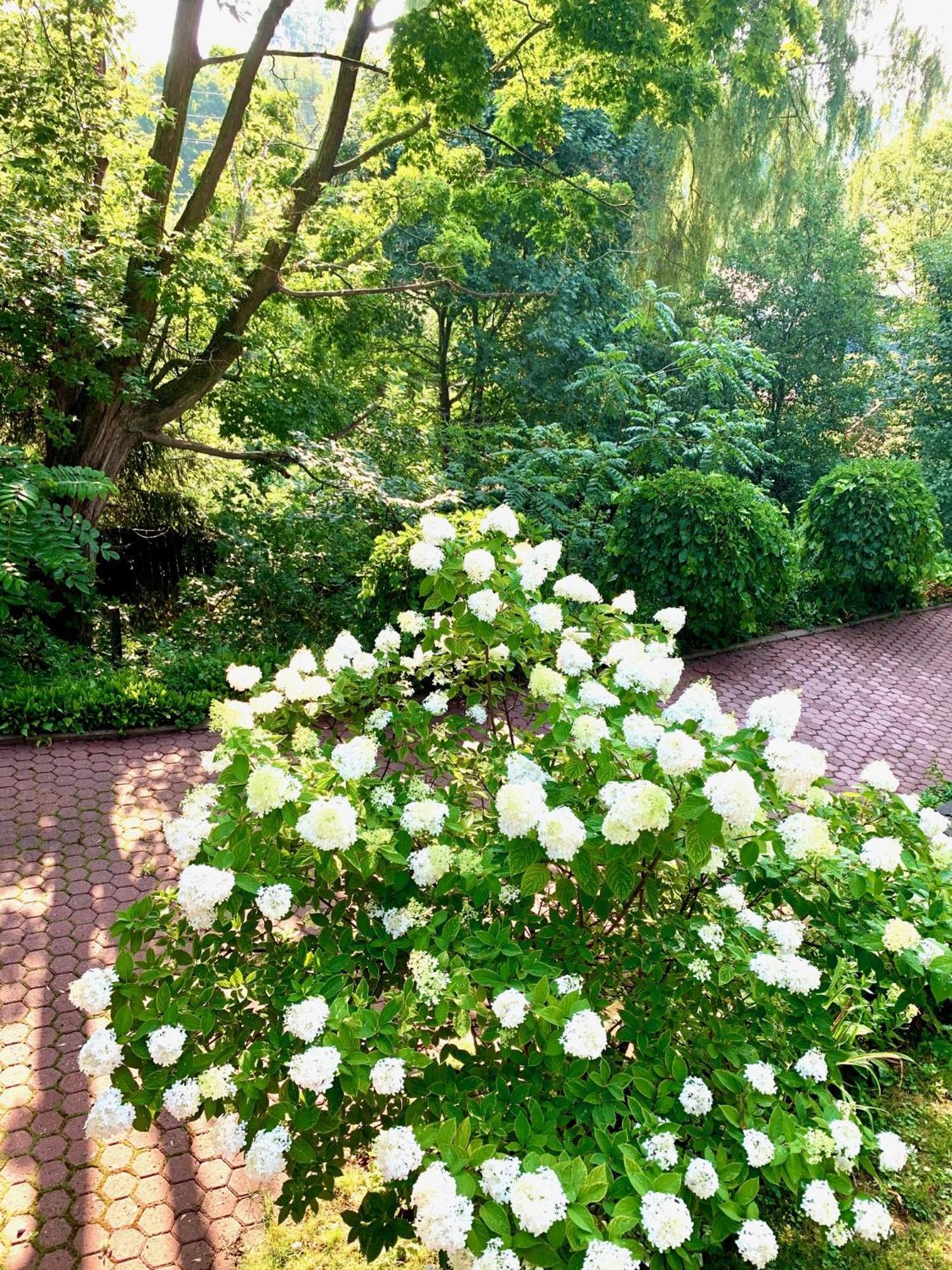 Plantation House Bed & Breakfast Port Hope Exterior foto